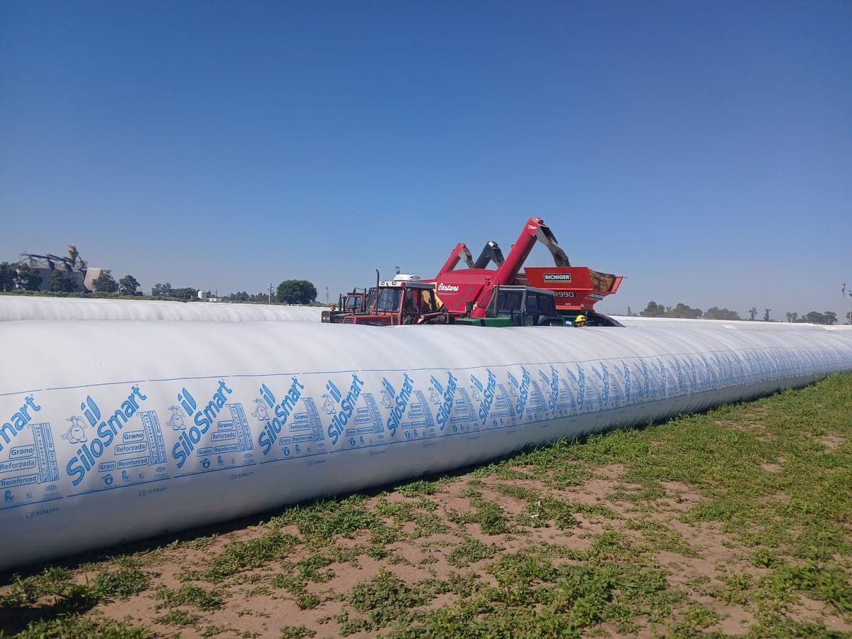 Silobolsas cargándose en el campo